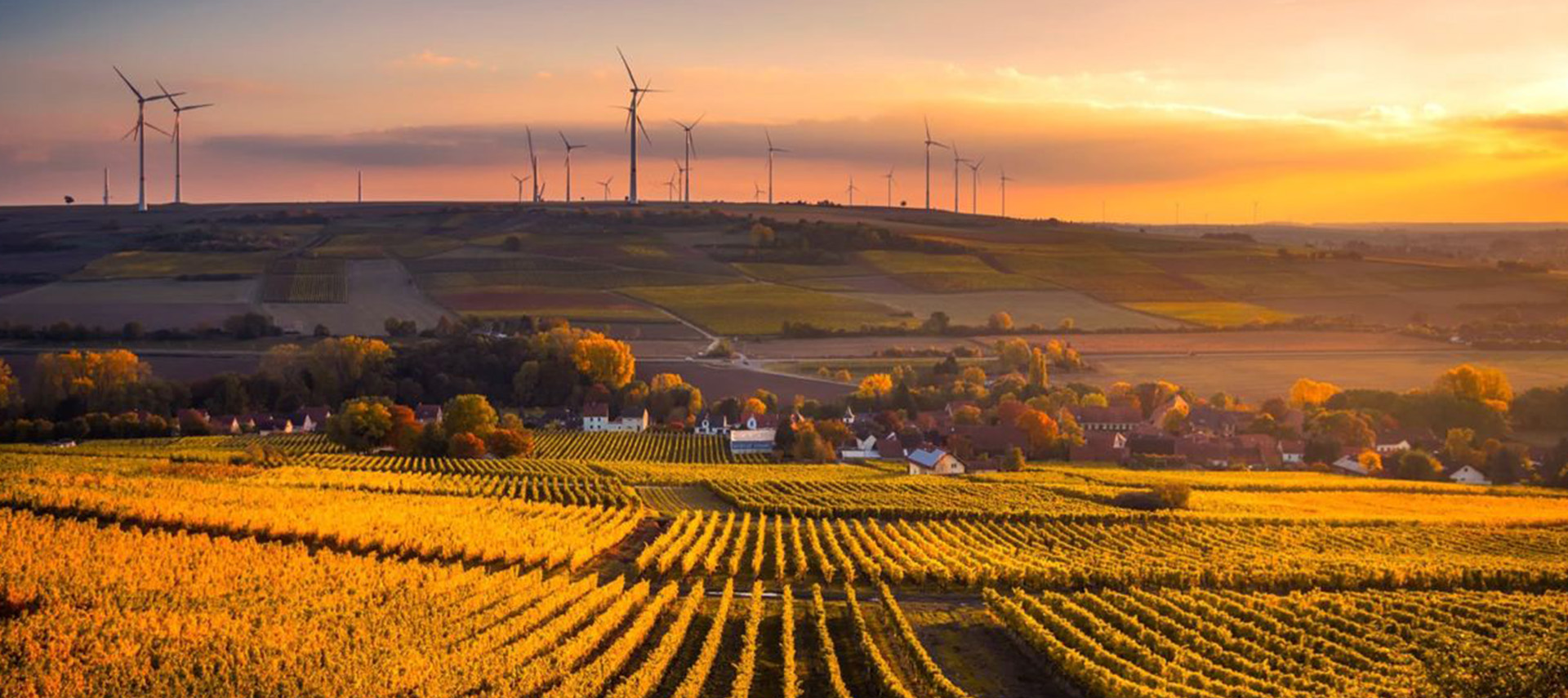 Rispetto per l'ambiente